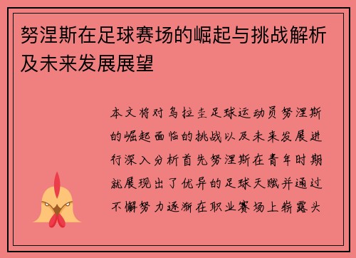 努涅斯在足球赛场的崛起与挑战解析及未来发展展望