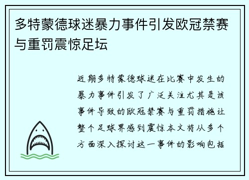 多特蒙德球迷暴力事件引发欧冠禁赛与重罚震惊足坛